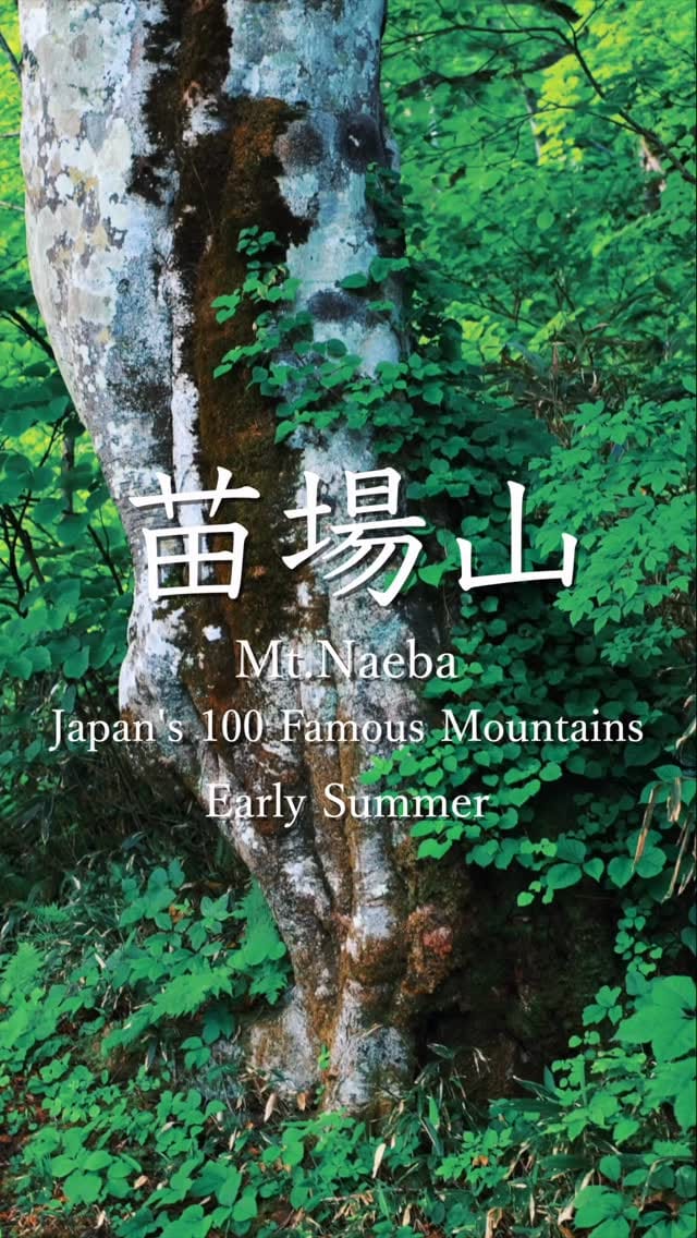 Post 6 by Taka Mountain on Instagram (video)
