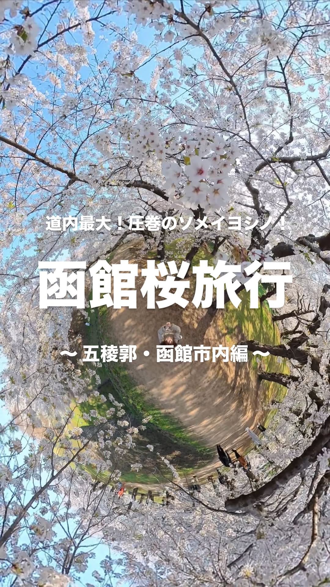 Post 4 by Mirina on Instagram (video)