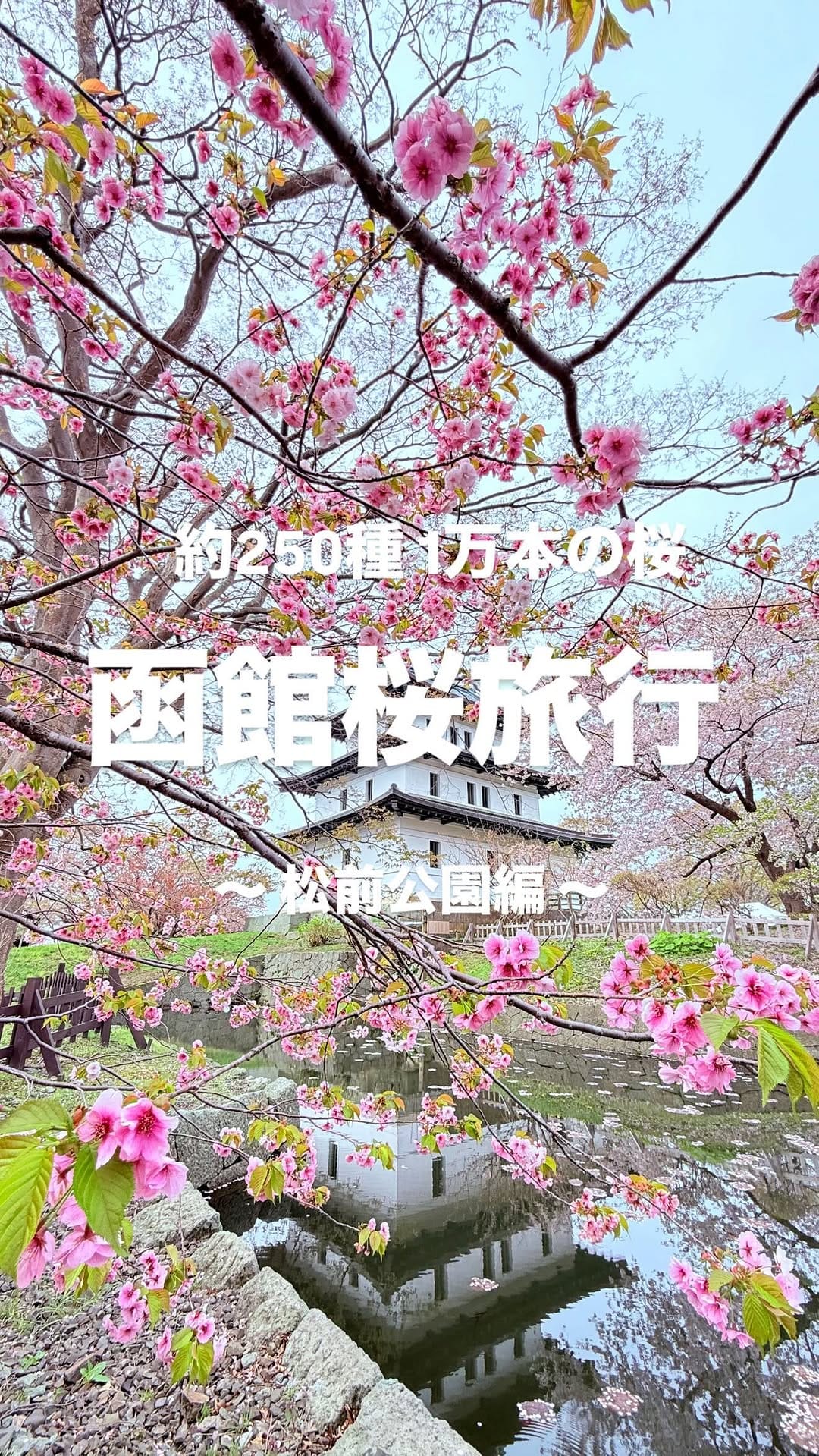 Post 3 by Mirina on Instagram (video)