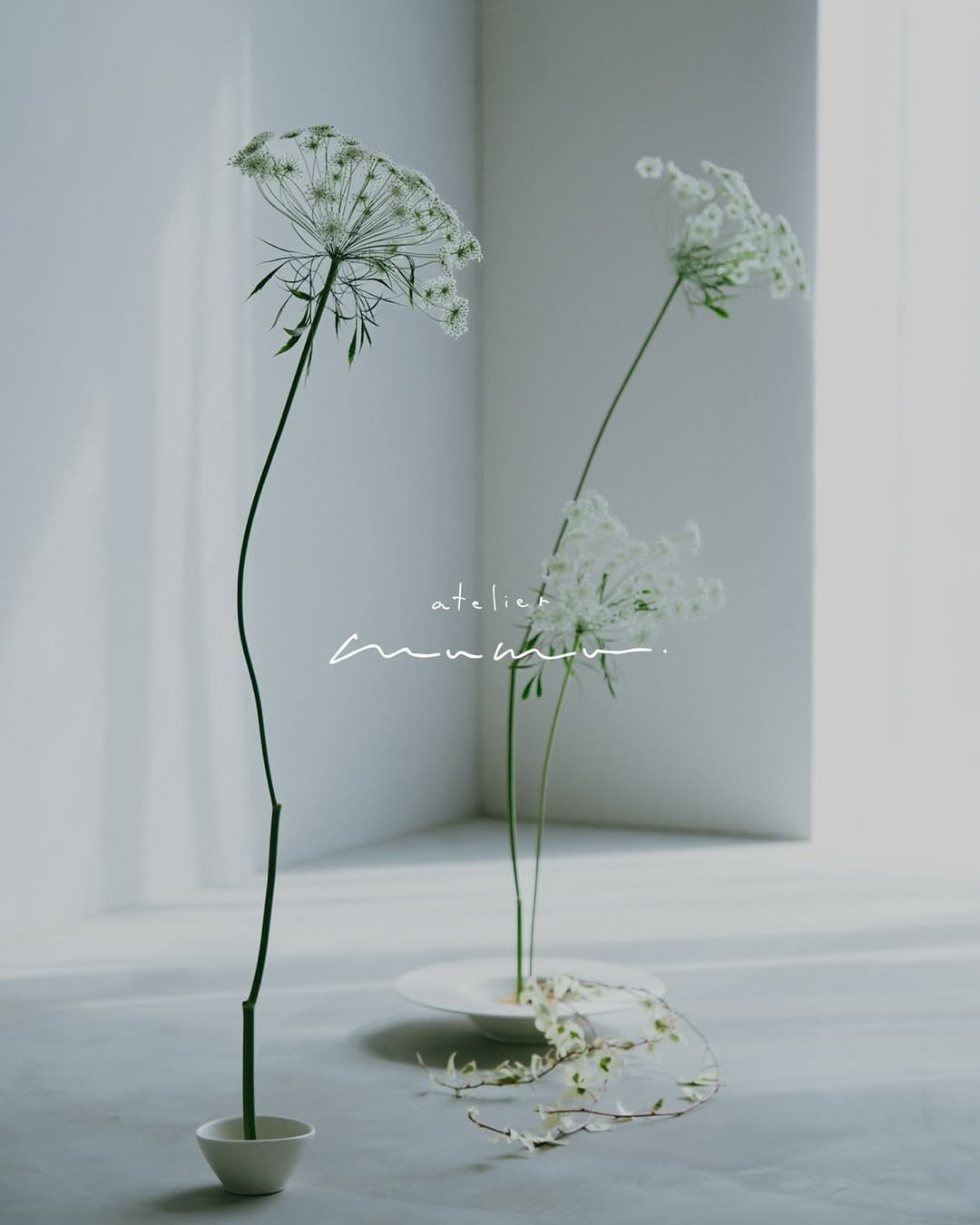 Post 7 by atelier mumu  -アトリエ　ムム- ┇福岡・北九州フォトスタジオ┇バースデー┇七五三┇成人記念┇ファミリー┇ on Instagram (image)