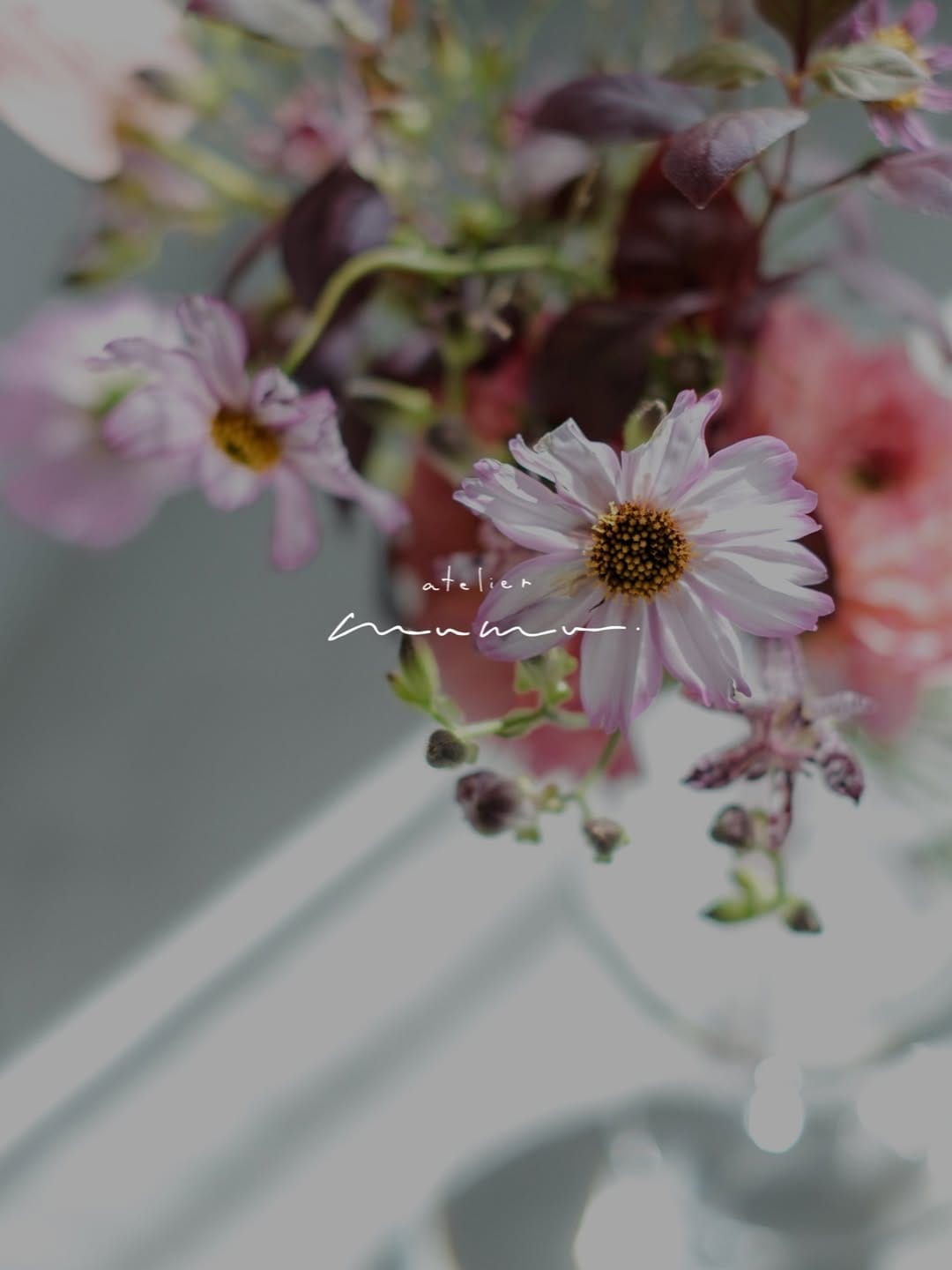 Post 5 by atelier mumu  -アトリエ　ムム- ┇福岡・北九州フォトスタジオ┇バースデー┇七五三┇成人記念┇ファミリー┇ on Instagram (image)