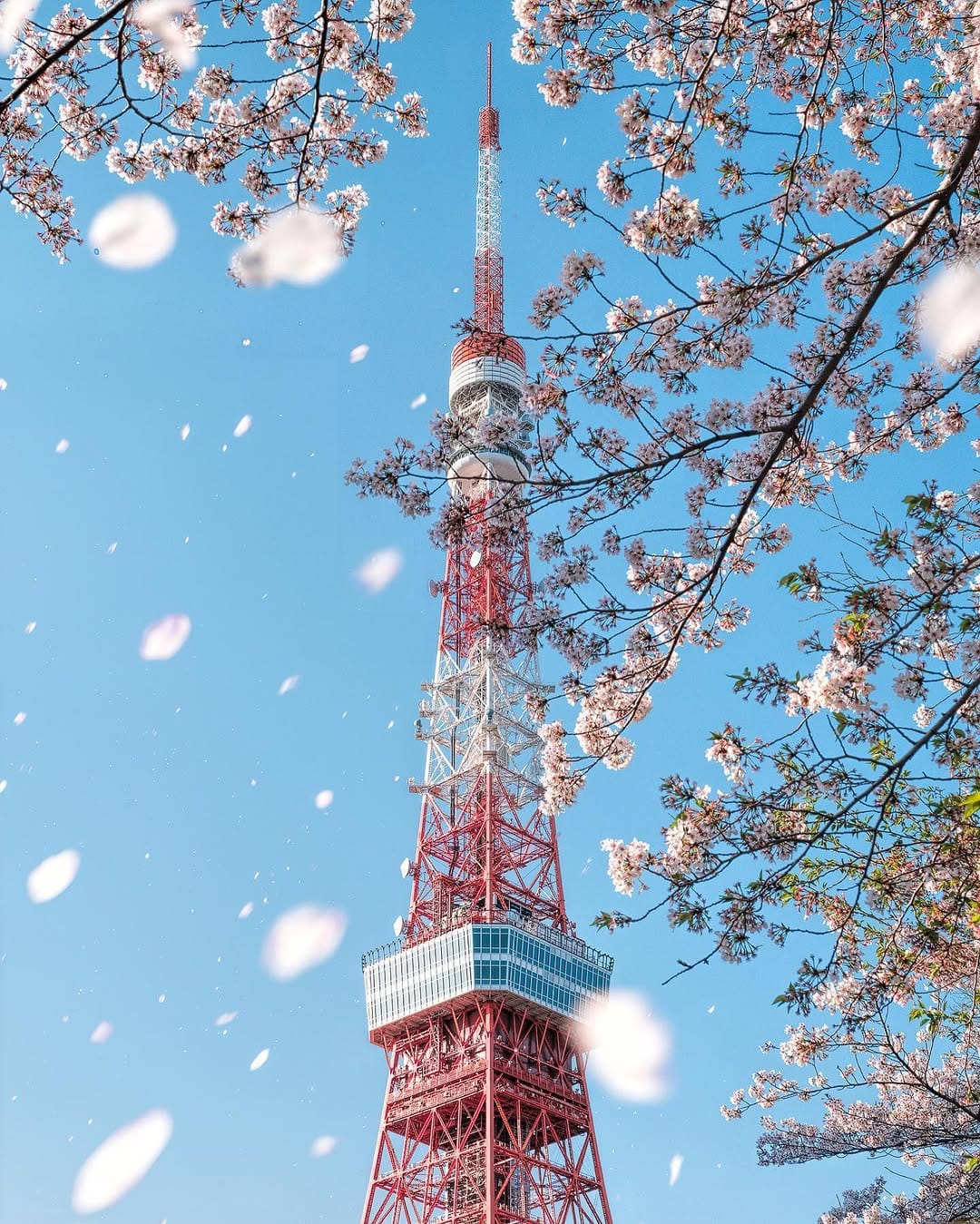 Post 10 by 洛堤 | Lotti® on Instagram (image)