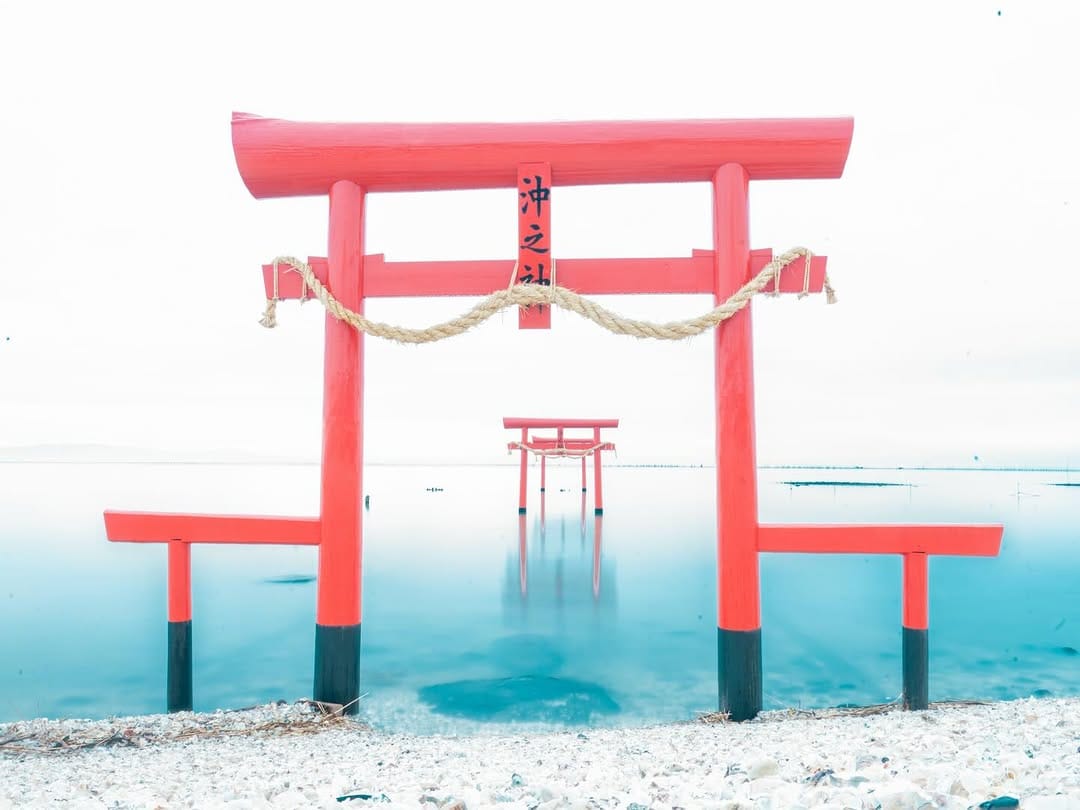 Post 3 by kayo ☺︎/Takayo Kameyama on Instagram (image)