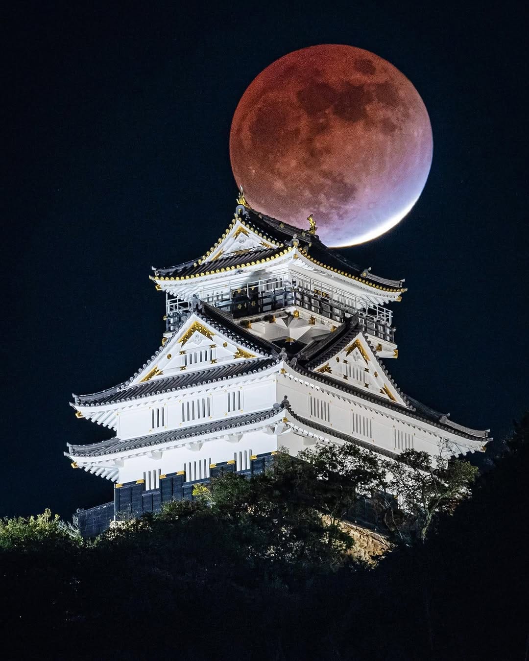 Post 8 by kayo ☺︎/Takayo Kameyama on Instagram (image)