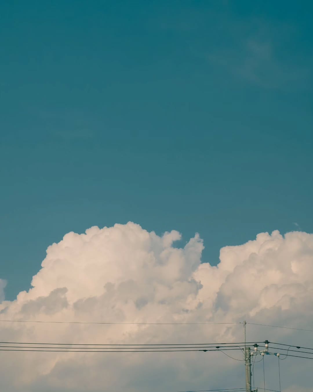 Post 10 by nico✾空と日常の写真垢 on Instagram (carousel)