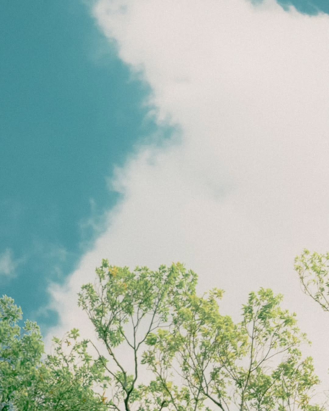Post 8 by nico✾空と日常の写真垢 on Instagram (carousel)
