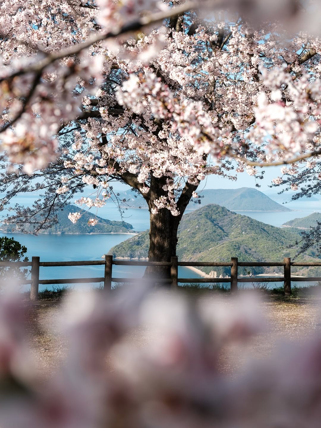 Post 2 by ANZAI MOUNTAIN▲ on Instagram (carousel)