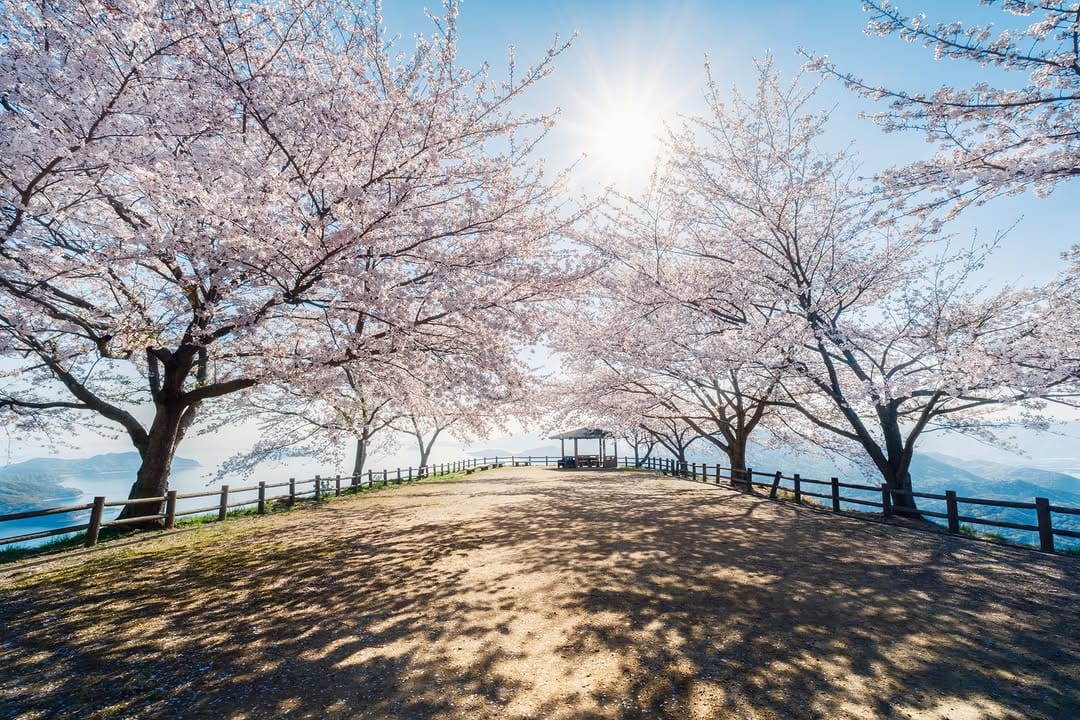Post 4 by ANZAI MOUNTAIN▲ on Instagram (carousel)