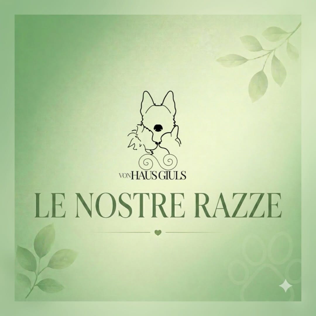 Post 10 by ɢɪᴜʟɪᴀ sᴏɴᴢᴏɢɴɪ 💚 on Instagram (carousel)