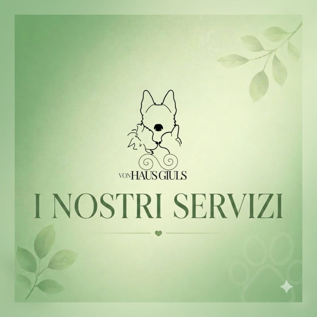 Post 9 by ɢɪᴜʟɪᴀ sᴏɴᴢᴏɢɴɪ 💚 on Instagram (carousel)