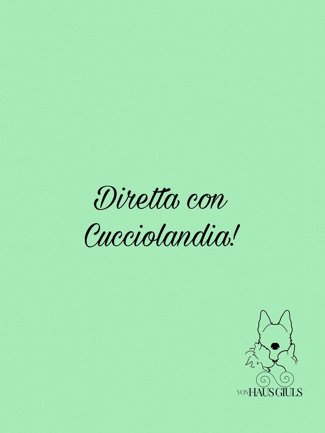 Post 5 by ɢɪᴜʟɪᴀ sᴏɴᴢᴏɢɴɪ 💚 on Instagram (image)