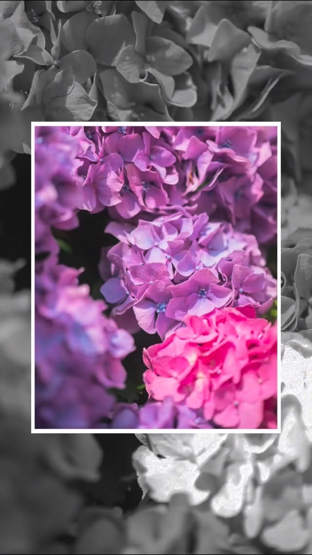 Post 3 by Shun | 静岡フォトログ on Instagram (video)