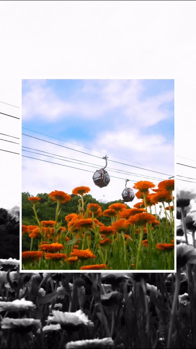 Post 4 by Shun | 静岡フォトログ on Instagram (video)