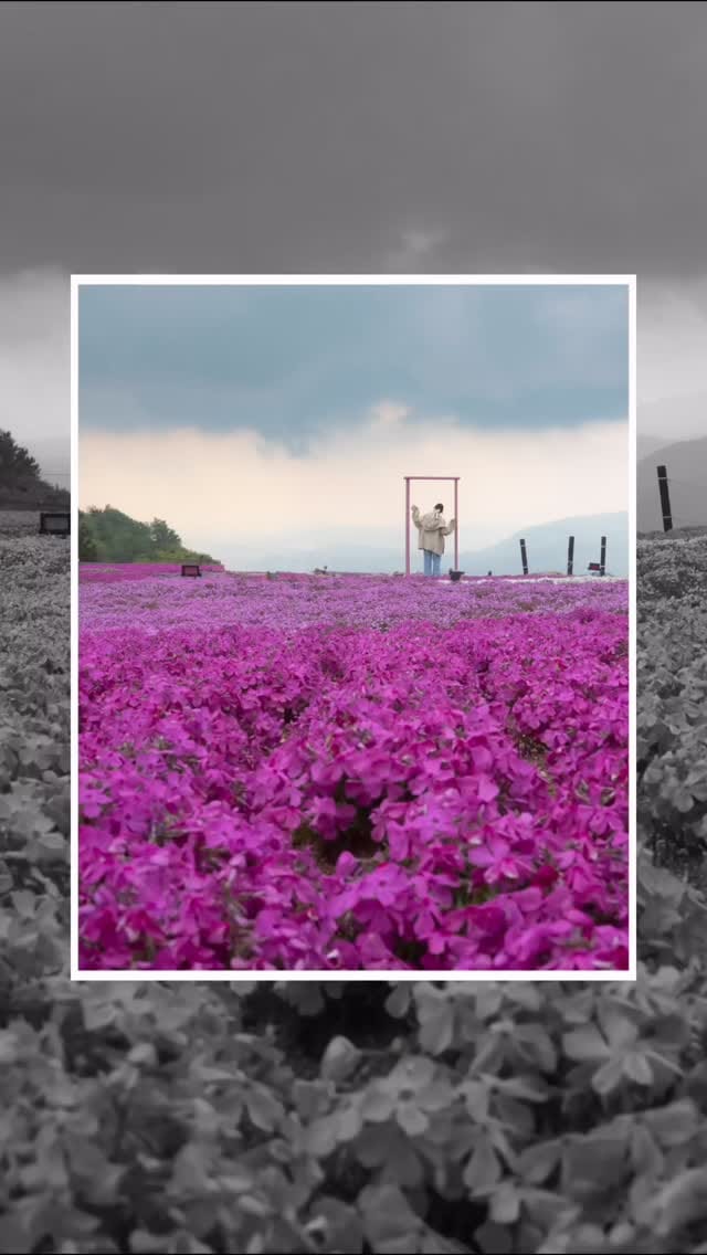 Post 6 by Shun | 静岡フォトログ on Instagram (video)