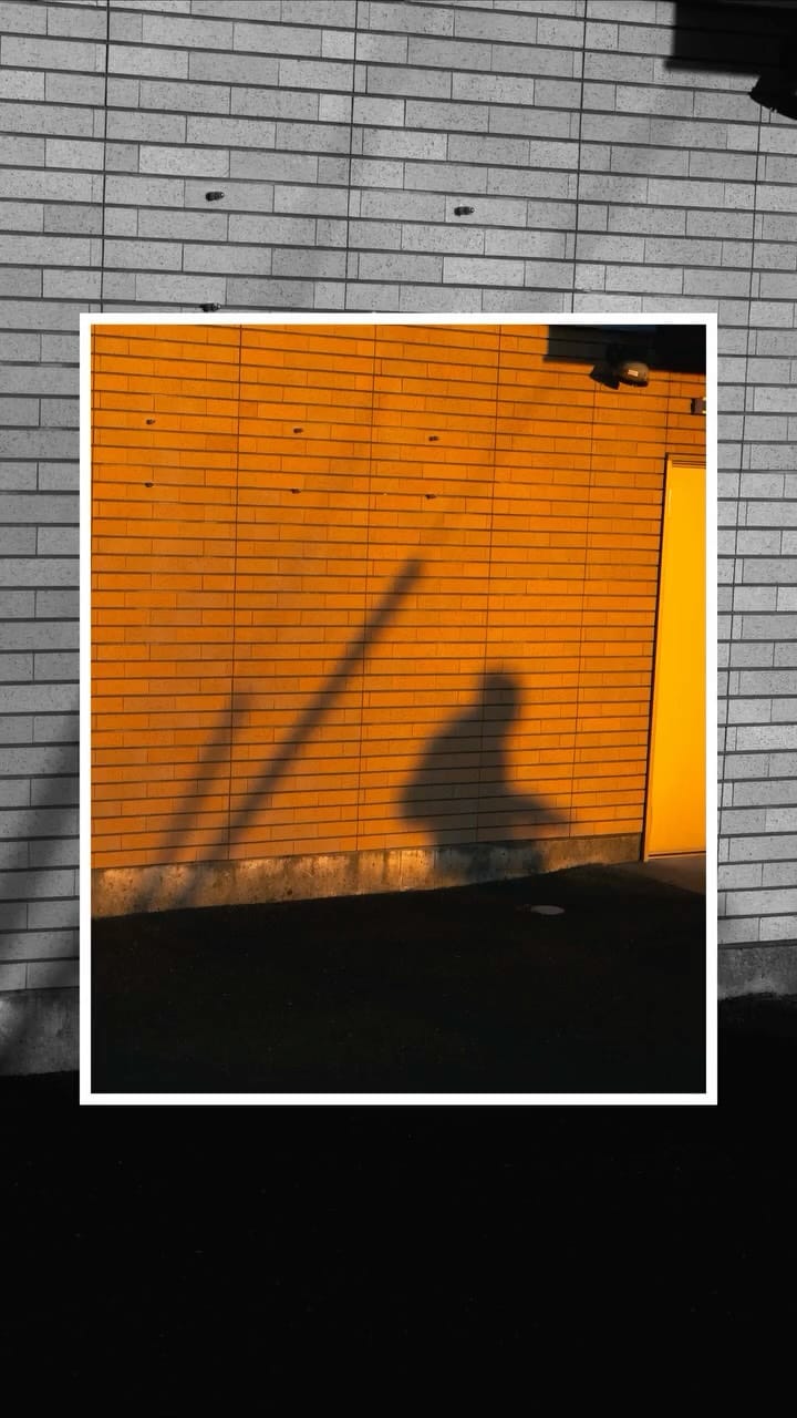 Post 8 by Shun | 静岡フォトログ on Instagram (video)