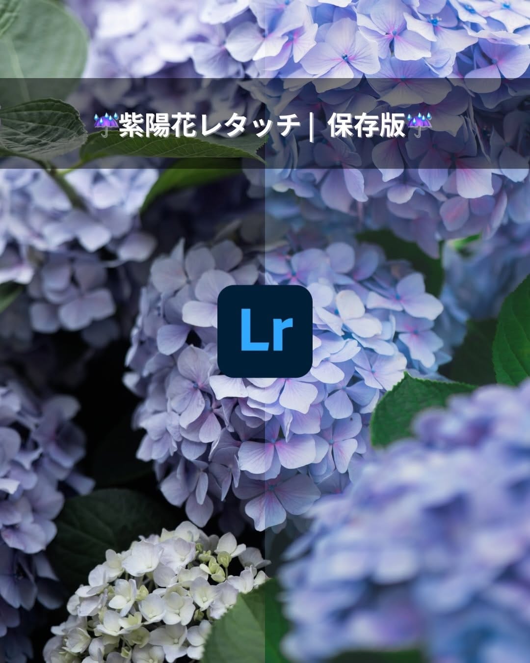 Post 2 by Shun | 静岡フォトログ on Instagram (carousel)