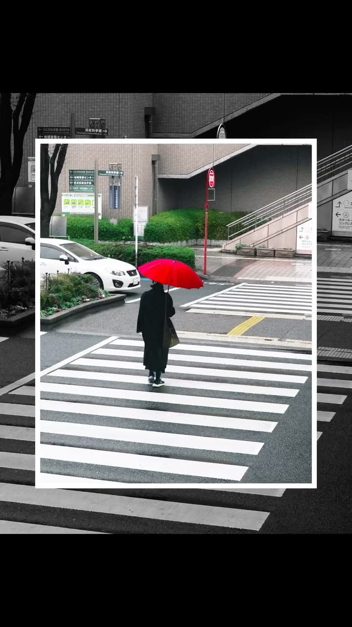 Post 9 by Shun | 静岡フォトログ on Instagram (video)