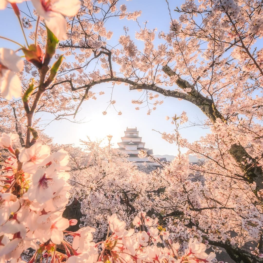 Post 9 by Koki Ueda / 上田 孔希 on Instagram (image)