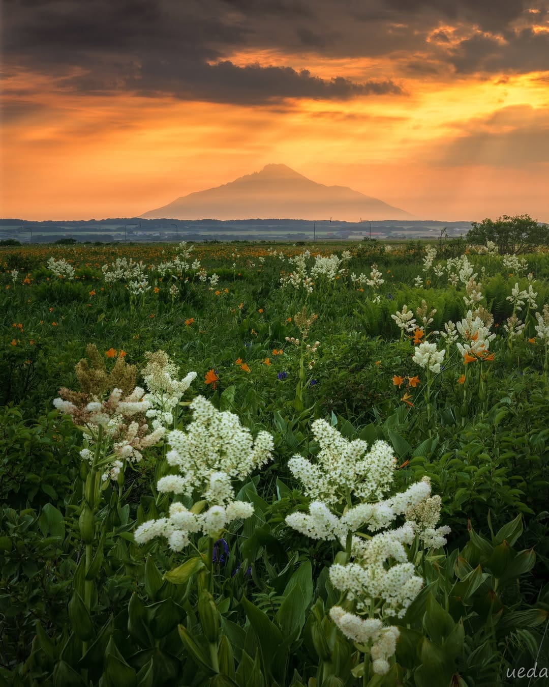 Post 2 by Koki Ueda / 上田 孔希 on Instagram (image)
