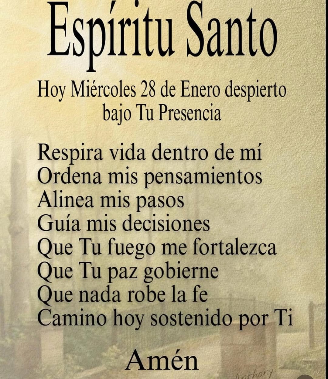 Post 4 by Frases de Amor,Paz,Luz,Fe. on Instagram (image)