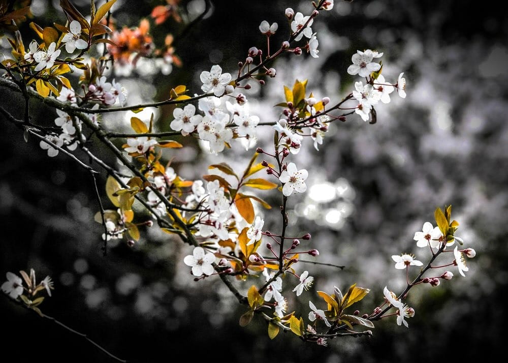 Post 2 by Koichi Saito 📸 on Instagram (carousel)