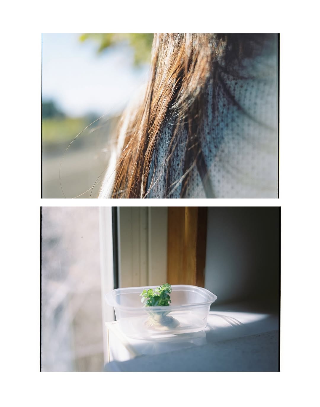 Post 1 by 小林 駿平｜ syunpei kobayasi on Instagram (carousel)