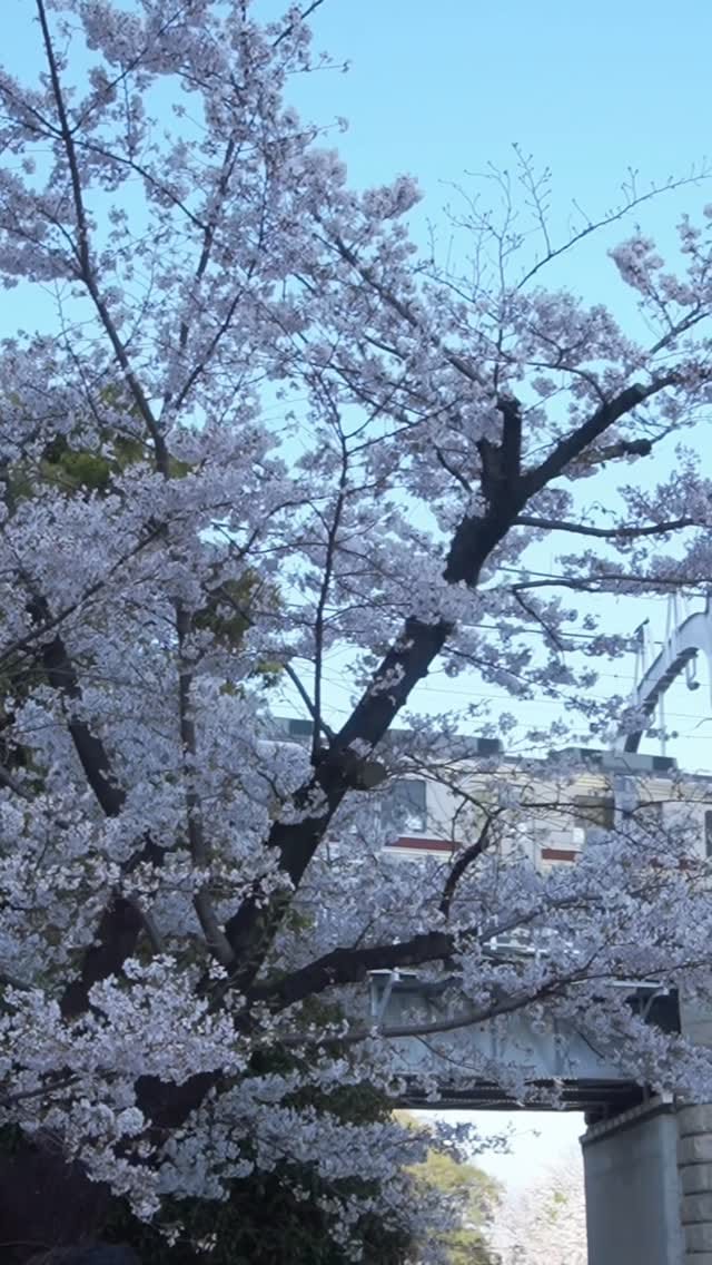 Post 1 by 日本の景色 on Instagram (video)