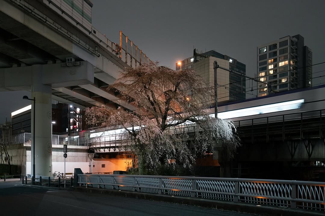 Post 3 by Taro Ohtani on Instagram (image)