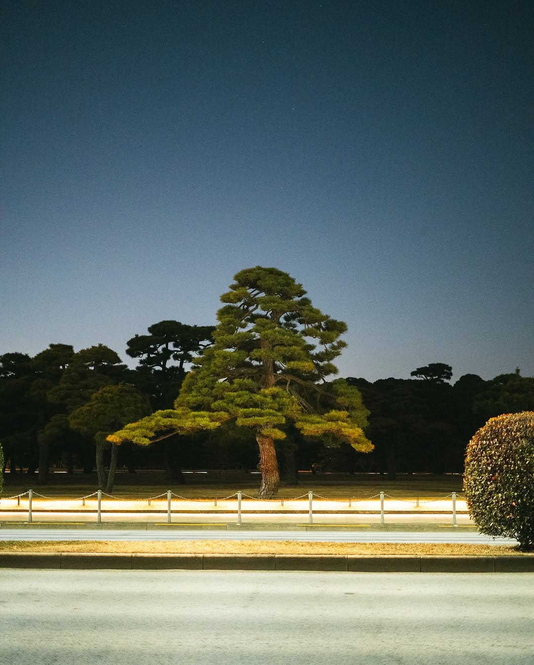 Post 8 by Taro Ohtani on Instagram (carousel)
