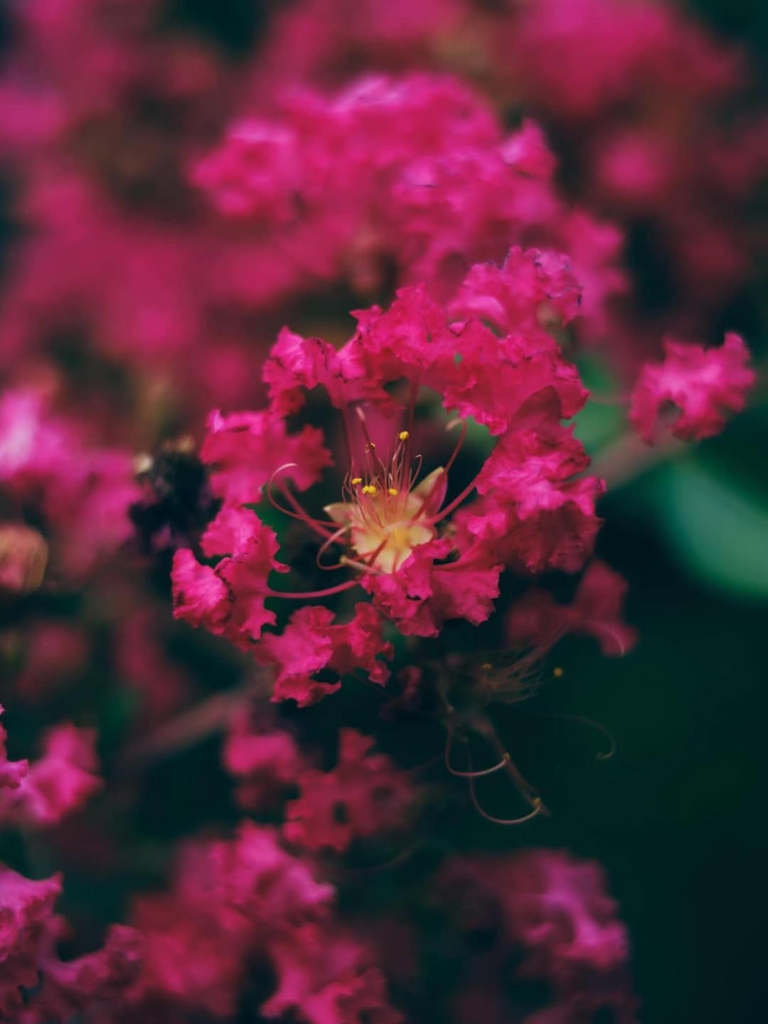 Post 8 by Hiyoshi JP Junpei on Instagram (image)