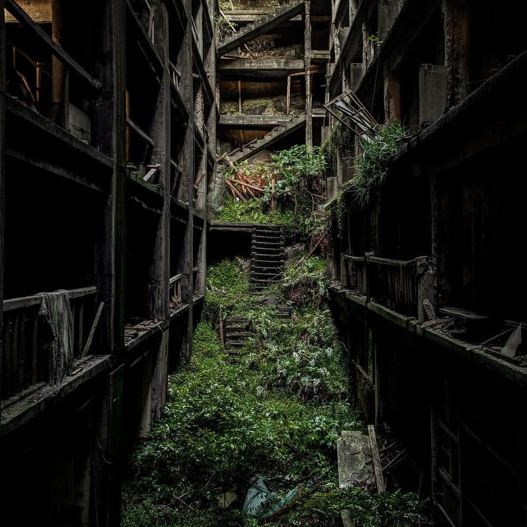 Post 9 by Shane Thoms on Instagram (image)