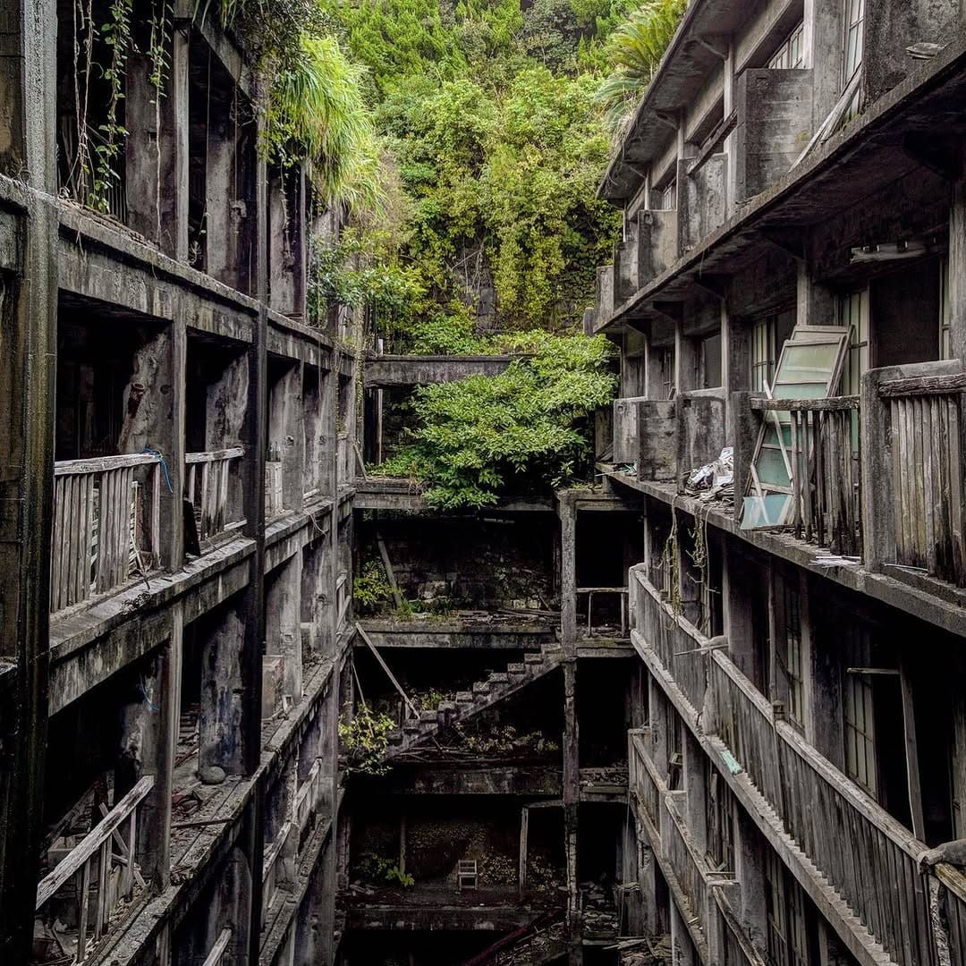 Post 8 by Shane Thoms on Instagram (image)