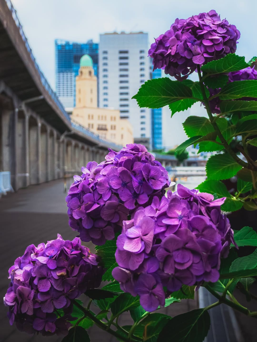 Post 4 by ℕ𝕠𝕖𝕝 🥀  ⋆* on Instagram (image)