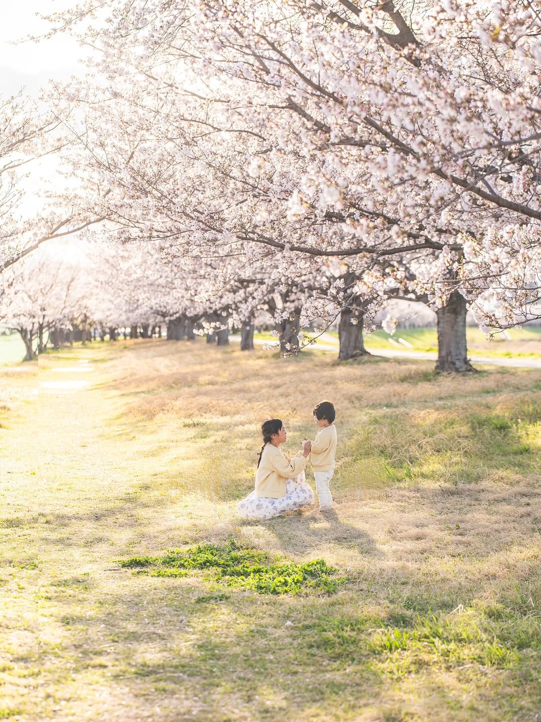 Post 6 by rina𓂃 ✿𓈒𓏸 Tokyo の西側へ引っ越してきました⚘ on Instagram (image)