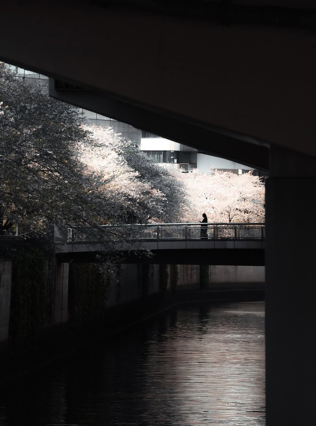 Post 2 by Luke Craig Photographer Japan on Instagram (carousel)