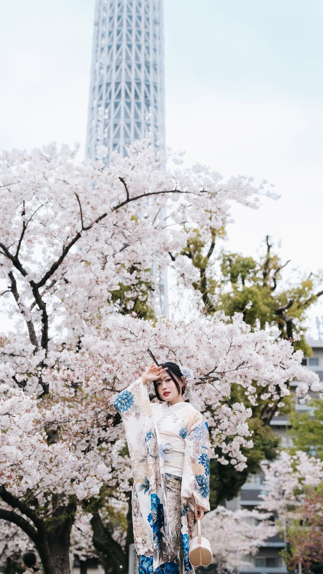 Post 3 by Luke Craig Photographer Japan on Instagram (video)