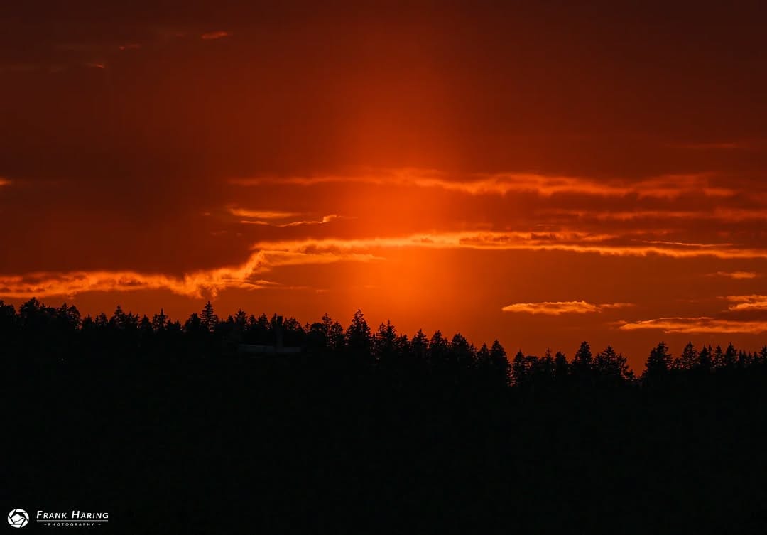 Post 2 by Frank Häring on Instagram (image)