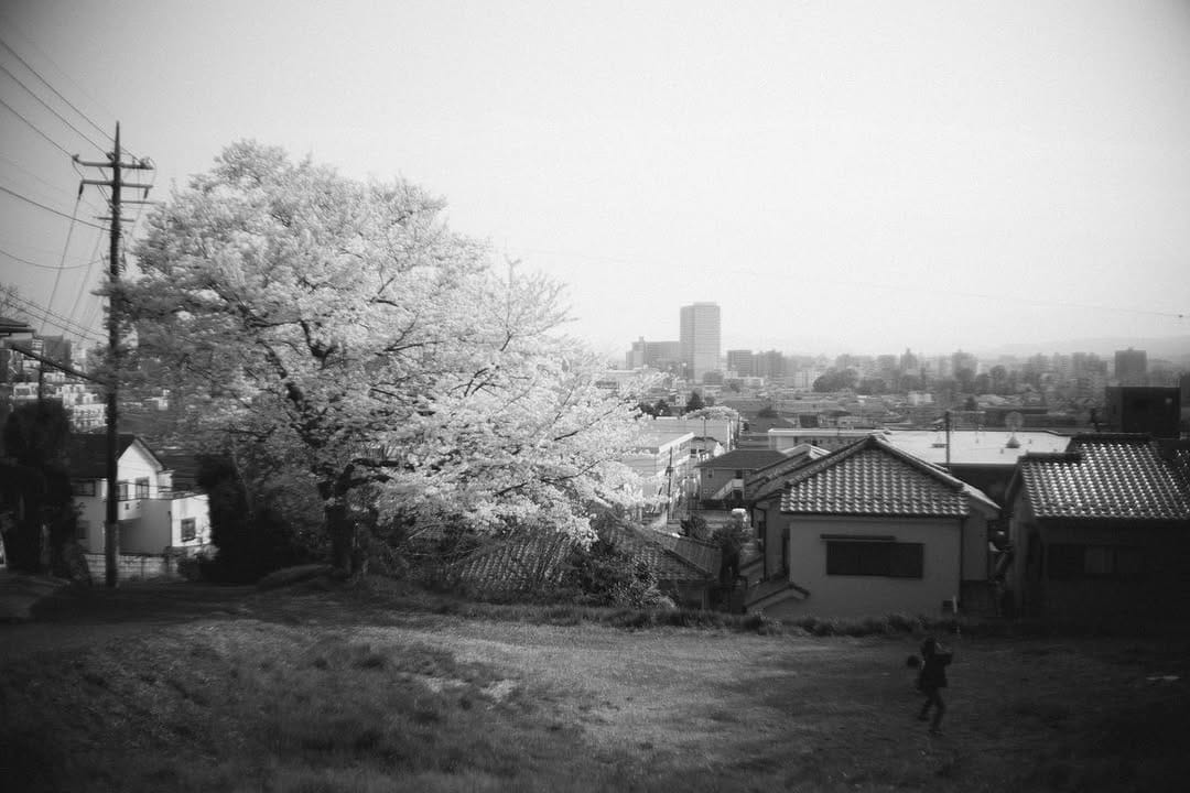 Post 10 by Masayuki Nakamura on Instagram (image)