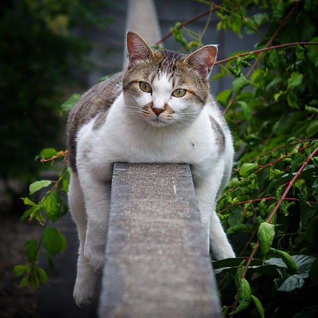 Post 10 by MiHA on Instagram (image)