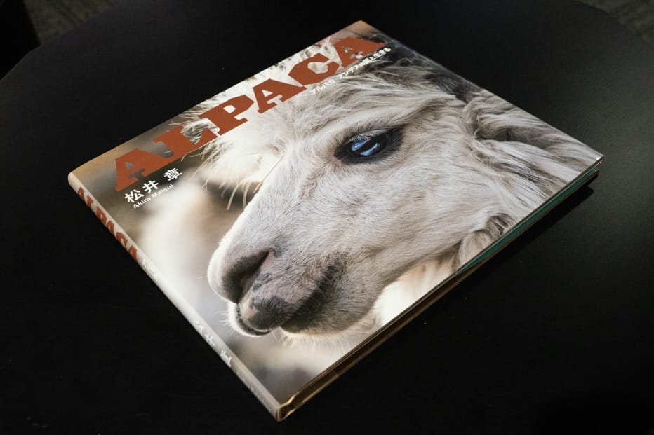 Post 10 by Akira Matsui on Instagram (carousel)