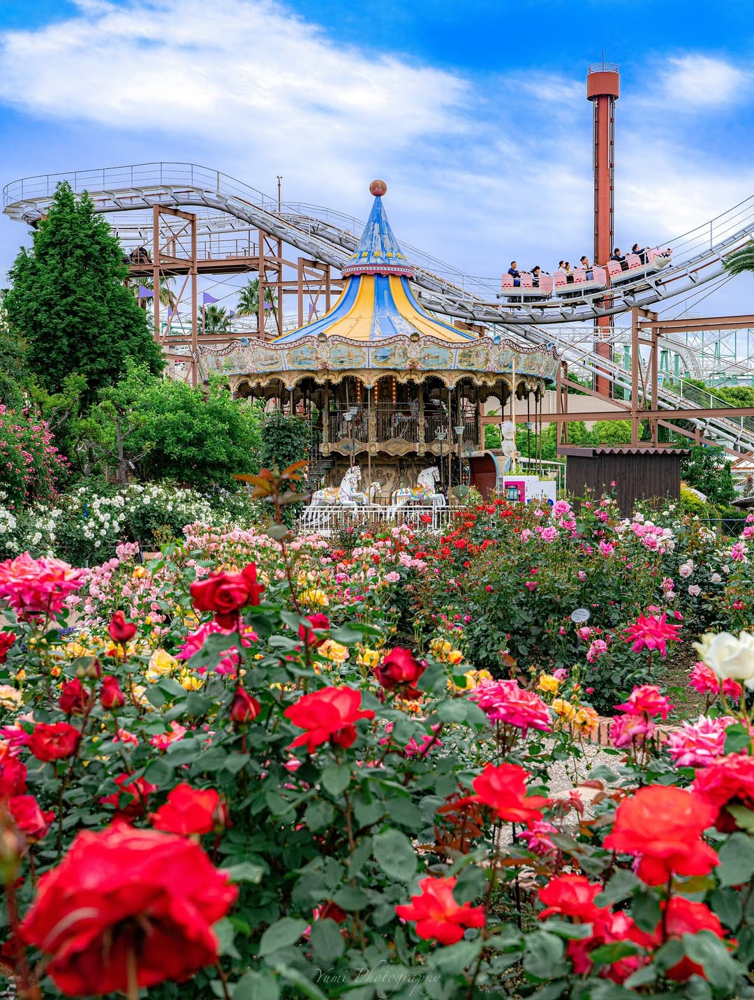 Post 4 by 𝚈𝚞𝚖𝚒❁⃘*.ﾟ on Instagram (carousel)