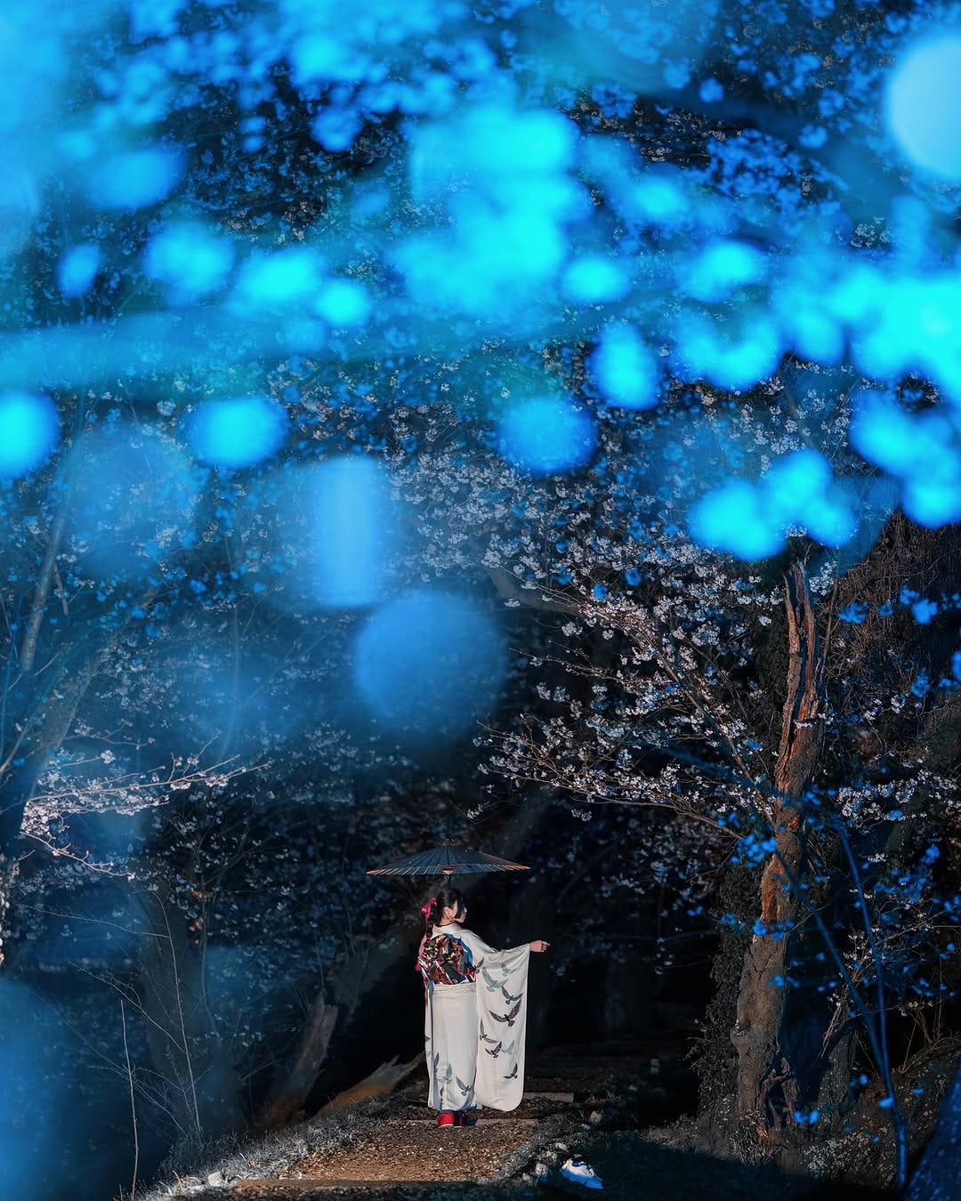 Post 5 by dark japan gallery on Instagram (image)