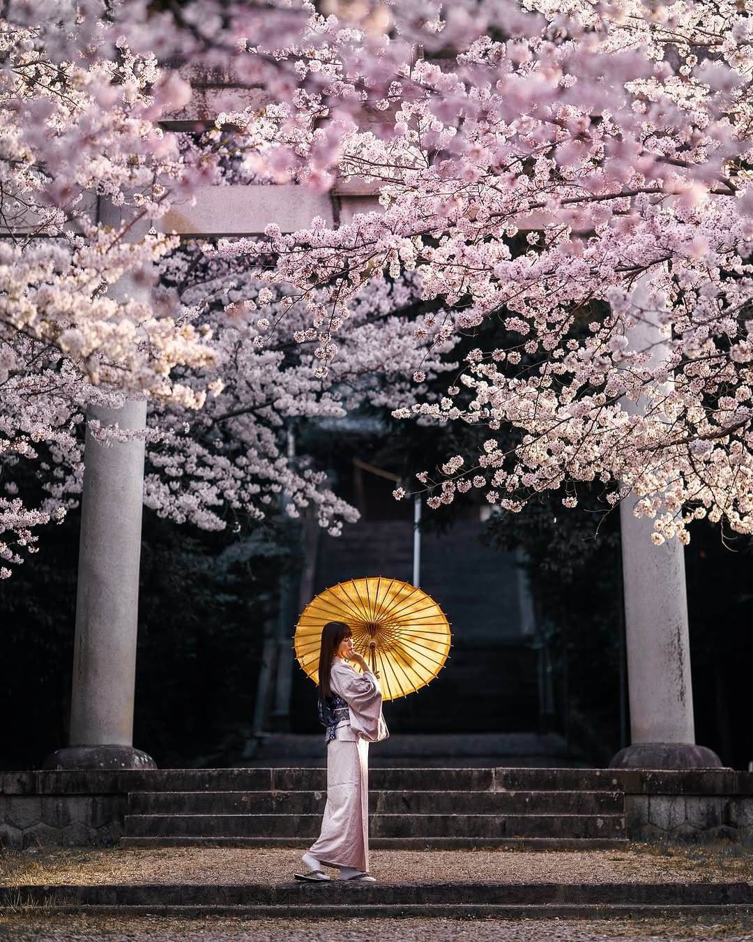 Post 7 by dark japan gallery on Instagram (image)