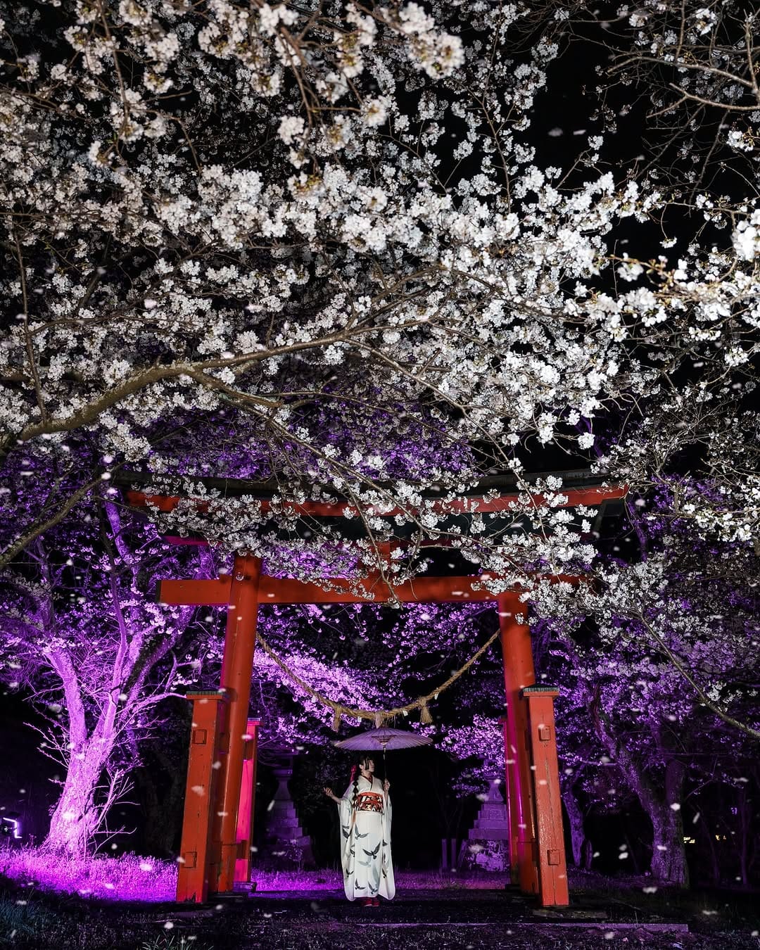 Post 6 by dark japan gallery on Instagram (image)