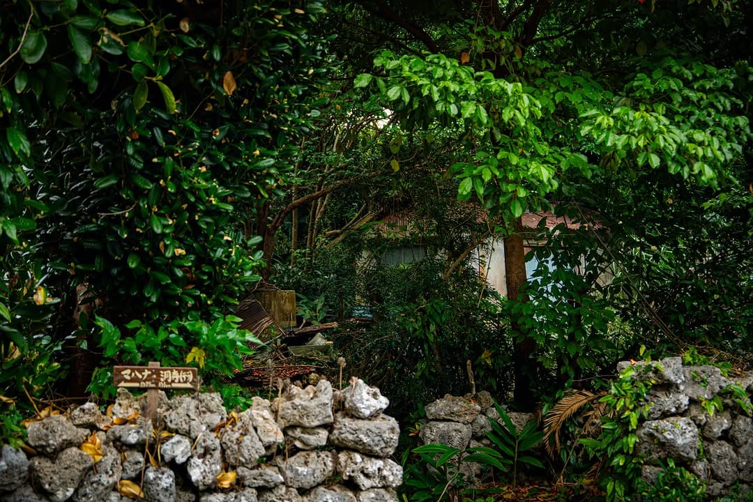 Post 3 by Lewis the Photographer on Instagram (image)