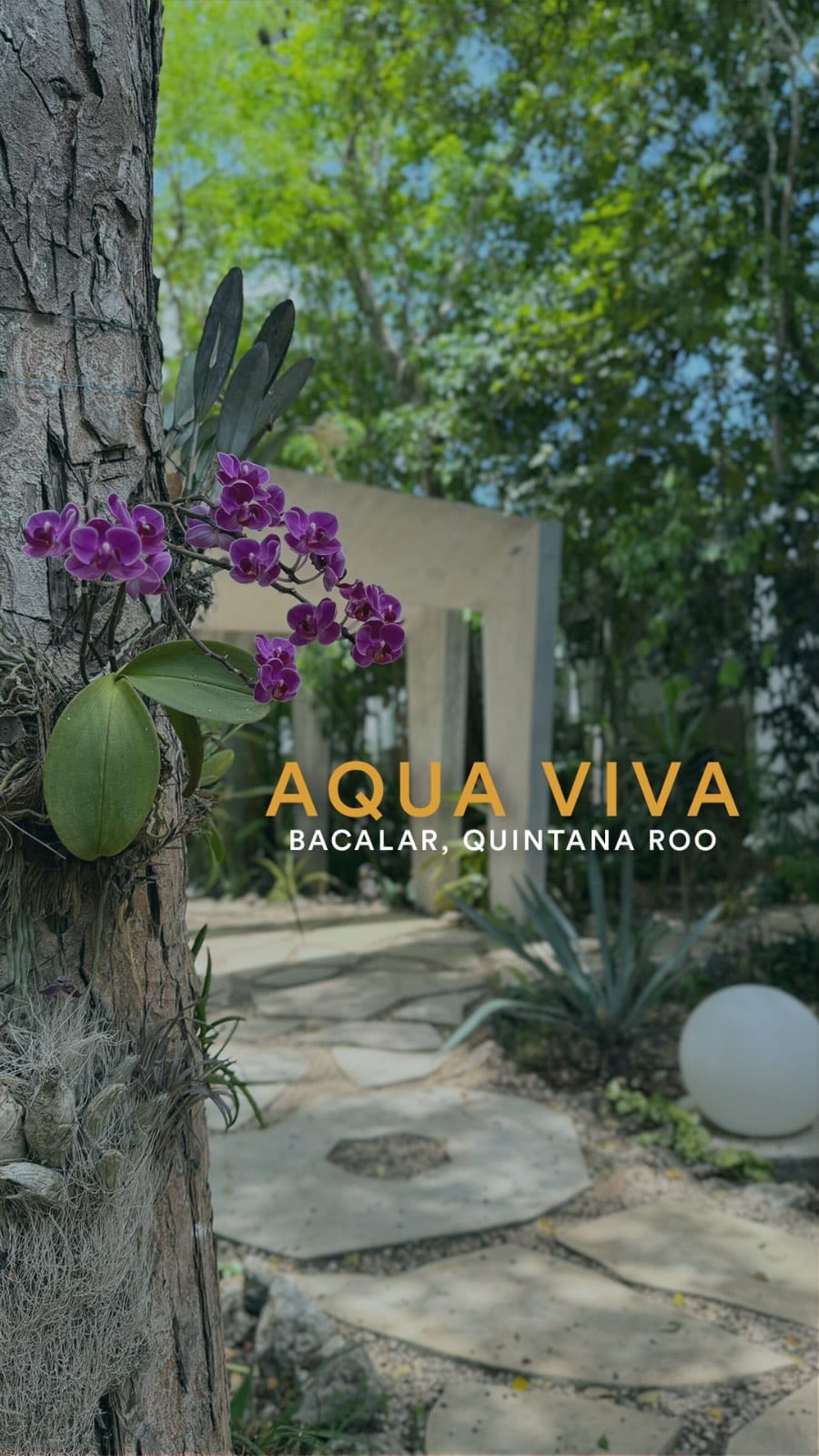 Post 2 by Aqua Viva on Instagram (video)