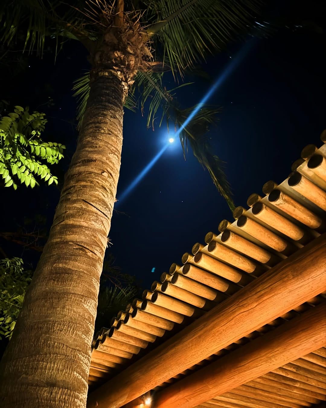 Post 8 by Casa Tau Punta Mita on Instagram (image)
