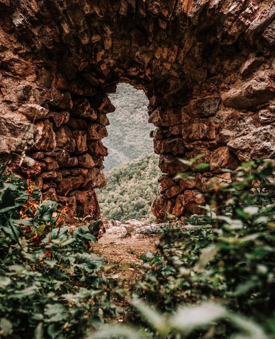 Post 1 by Alison Sault on Instagram (image)
