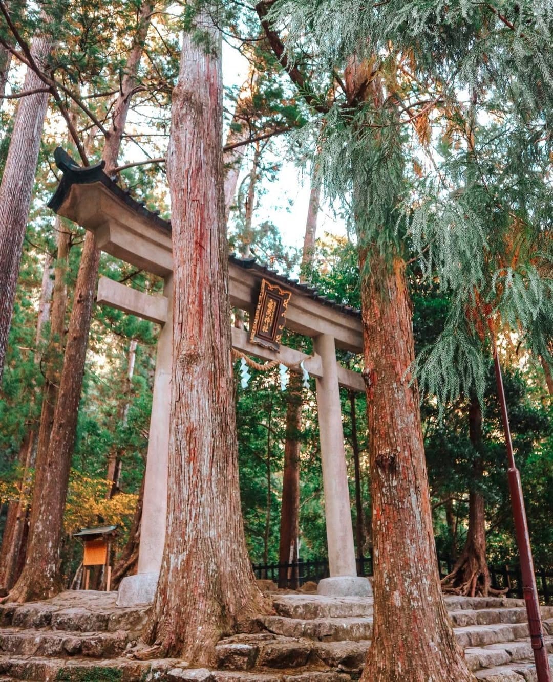 Post 3 by Alison Sault on Instagram (image)