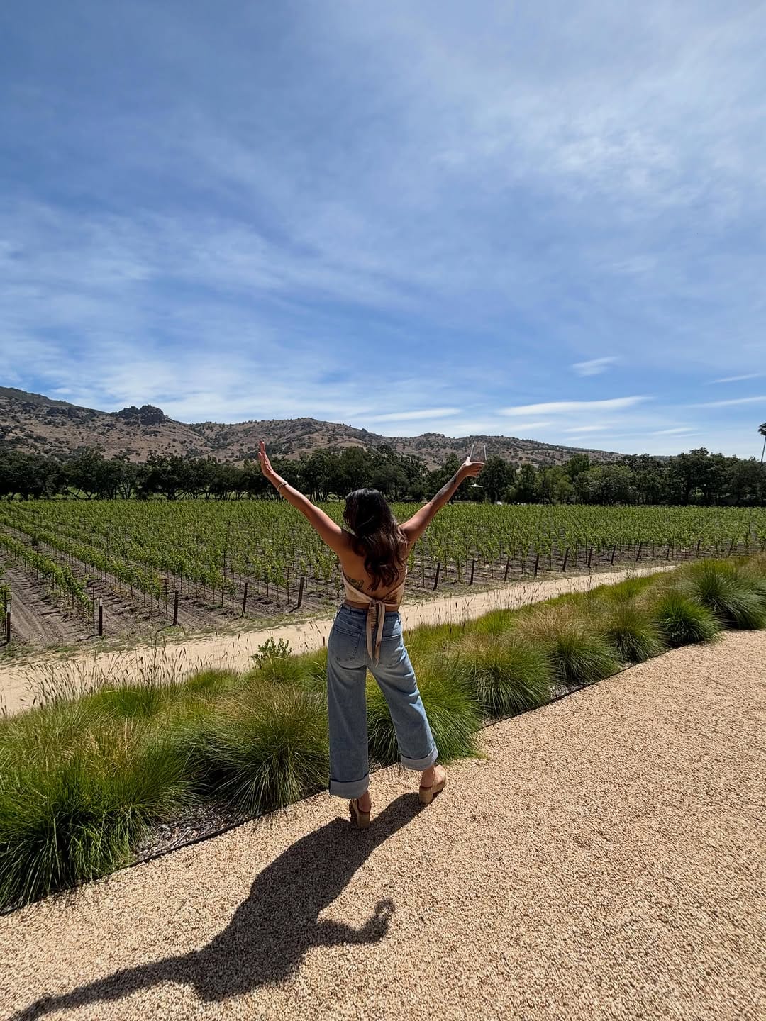 Post 4 by Sylvia Lira on Instagram (image)